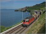 The SBB Re 620 080-2  Möhlin  with a Cargo Train by St Saphorin.