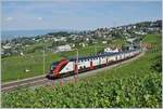 The SBB IC 713 service from Geneva Airport to St Gallen with SBB  Twindexx  RABe 502 212-9 and RABDe 502 010-3 (Ville de Genève) by Bossière.