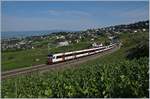 The SBB RDe 560 Dominos on the way to Lausanne by Bossière. 

14.07.2020