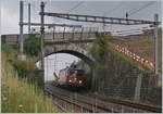 The SBB Re 4/4 II 11273 (Re 420 273-5) with a Cargo train in Cully.