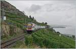 The SBB RABe 511 027 is the IR 90 from Brig to Genève and is runig via the Trains de Vigens Lignes.

29.08.2020