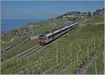 A SBB  Domino  on the Vine Yard Line by Chexbres. 

17.05.2020