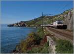 A SBB IR form Genève to Brig betweeen Rivaz and St Saphorin wiht the SBB Re 460 083-9. 

04.10.2015