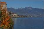 The Chastel of Glérolles in Rivaz an in the background a SBB Re 460 wiht his IR to Geneva Airport.