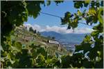 A SBB local train service on the Train des Vignes (Vineyarde) line over St Saphorin near Chexbres.