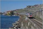 SBB RABE 511 511 020 and 019 are a RE from Geneva Airport to Fribourg via Vevey. This train runs between Rivaz and St Saphorin.

20.03.2021