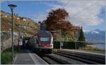 The SBB RABe 511 026 in Rivaz the way to Vevey.