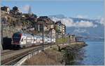 The SBB KISS RABe 511 123 on the way to St Maurice between Rivaz and St Saphorin.