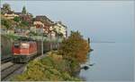 The SBB Ae 6/6 11485  THUN  with a Cargo Train by St Saphorin. 

25.10.2012