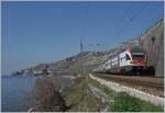 The SBB RABe 511 019 on the way to Vevey by St Saphorin.