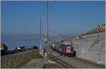 The SBB Re 6/6 11686 (Re 620 086-9)  Gerra Gambarogno  with a Cargo Train in Cully.