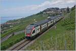 The SBB RABe 511 105 over St-Saphorin on the way to Geneva. 

10.07.2018