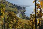 The beautiful Lavaux landscape: Vieuw from the yineyard of two SBB RABe 523 on the way from Aigle to Vallorbe between St Saphorin and Rivaz.