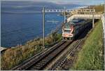 The beautiful Lavaux landscape: by a dark background is running the SBB RABe 511 109 from Vevey to Annemasse.