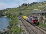 Following problems with the ETCS and the withdrawal of the SBB Cargo Vectroms from non-ETCS routes, the SBB Cargo Vectroms can occasionally be seen again on the Simplon line, although the 193 077 at Rivaz, with its three carriages, can't complain about too much work.

May 19, 2025