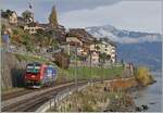 The locomotive 193 054, leased from SBB Cargo for eight years, operates as a locomotive train between Rivaz and St. Saphorin.

November 12, 2024