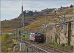 The locomotive 193 054, leased from SBB Cargo for eight years, operates as a locomotive train between Rivaz and St. Saphorin.

November 12, 2024