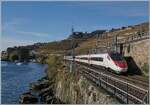 Between Rivaz and St Saphorin, an SBB RABe 503 (ETR 610) is traveling as an EC from Genève to Milano Centrale.

November 12, 2024