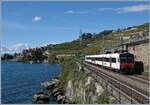 Ein SBB RBDe 560 Domino ist bei Rivaz auf der Fahrt nach Vevey.