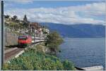 The SBB Re 460 071-8 is at St Saphorin with an IR on its way from Brig to Genève Aéroport.

September 30, 2019