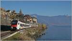 At the front a 'Mouette' long-distance Flirt, behind it a Flirt 523.1, are on their way as a regional train near Saint Saphorin heading to Lausanne.

November 15, 2025