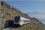 The SBB RABe 523 028 is shortly after Chexbres on the 'Train de Vignes route' on its way to Vevey. 

November 16, 2024
