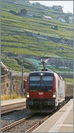 La 193 064 noleggiata da SBB Cargo si trova a Rivaz come treno a trazione locomotive in viaggio verso Losanna.

12 agosto 2026