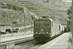 La SBB Re 6/6 11637 Re 620 037-2  Sonceboz-Sombeval  está pasando por la estación de Rivaz con su tren  Spaghetti  bajo una fuerte contraluz. El tren viaja desde Turín pasando por Vallorbe hacia Francia y transporta grano (en el viaje de regreso) que se procesa en vagones de masa en italiano, una circunstancia que es la razón del nombre tren Spaghetti.

12 de agosto de 2026