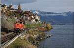 At St Saphorin, the SBB Am 843 022-5 is traveling as a locomotive-hauled train heading towards Lausanne.

November 12, 2024