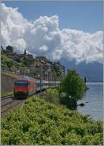 SBB Re 460 044-1 with a IR to Geneva Airport by St- Saphorain. 03.08.2010