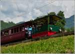 A little steam train pictured near the stop Cornaux on May 27th, 2012.