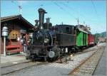 A B-C Steamer Train in Blonay.