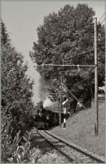 A B-C steam train with the G 2x 2/2 105 on the way to Chamby.
