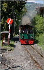 The B-C steamer tramway by Chaulin.
15.05.2016