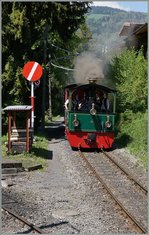 The B-C steamer tramway by Chaulin.
15.05.2016