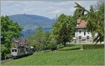 A LLB local train by the Blonay Chamby Railway near Chaulin wiht the ABFe 2/4 N° 10.