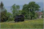 Blonay Chamby Mega Steam Festival: The SBB G 3/4 208 (Ballenberg Dampfbahn) by Chaulin by the Blonay Chamby Railway on the way to Blonay.