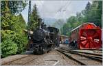 Blonay Chamby Mega Steam Festival: The SBB G 3/4 208 (Ballenberg Dampfbahn) in Chaulin by the Blonay Chamby Railway.