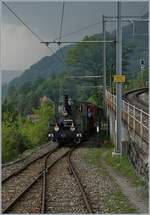 Blonay Chamby Mega Steam Festival: Blonay Chamby LEB G 3/3 N° 5 (1890) in Chamby.
19.05.2018