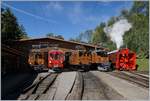 50 years Blonay -Chamby Railway - Mega Bernina Festival (MBF): RhB Ge 2/2 161  Asnin , The RhB ABe 4/4 N° 35, The RhB Ge 4/4 81, Ge 4/4 182 and the RhB snowsteamer in Chaulin.
08.09.2018