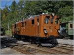 50 years Blonay -Chamby Railway - Mega Bernina Festival (MBF): BB/RhB Ge 4/4 81 in Chaulin.