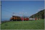 50 years Blonay -Chamby Railway - Mega Bernina Festival (MBF): The RhB Ge 4/4 182 and the ABe 4/4 35 wiht the Riviera Belle Epoque on the way to Chaulin by Sonzier.
15.09.2018