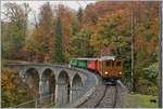 The Bernina Bahn BB Ge 4/4 81 with a Blonay-Chamby Service on the way to Chaulin by the Baie de Clarens Viadukt-  27.10.2018