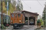 50 years Blonay -Chamby Railway - The last part: The Blonay Chamby Railways Bernina Bahn Ge 4/4 81 (ex RhB Ge 4/4 181) in Chaulin.
28.10.2018