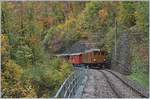 50 years Blonay -Chamby Railway - The last part: The BB Ge 4/4 81 near Vers chez Robert.
28.10.2018