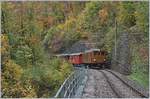 50 years Blonay -Chamby Railway - The last part: The BB Ge 4/4 81 near Vers chez Robert.