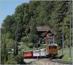 50 years Blonay -Chamby Railway - Mega Bernina Festival (MBF): The Bernina Bahn Ge 4/4 81 by Sonzier.

08.09.2018