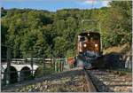 50 years Blonay -Chamby Railway - Mega Bernina Festival (MBF): The Bernina Bahn Ge 4/4 182 by  Vers-chez-Robert .