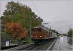 50 years Blonay -Chamby Railway - La Der: The Bernina Bahn Ge 4/4 81 in Blonay.