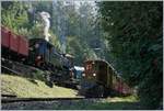 50 years Blonay Chamby Mega Bernina Festival - The Bernina RhB Ge 4/4 182 by the Blonay-Chamby Railway: by Chaulin.